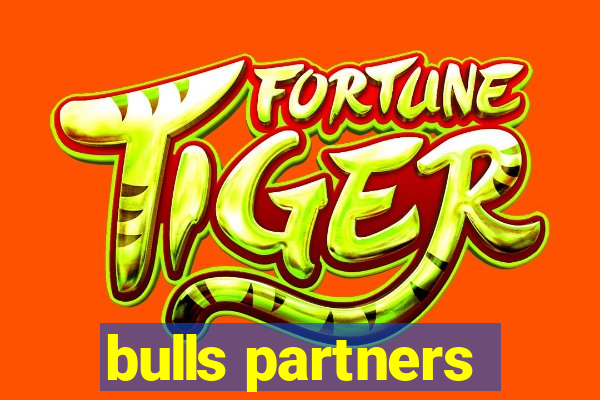 bulls partners